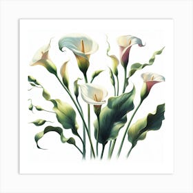 Calla lilies Art Print