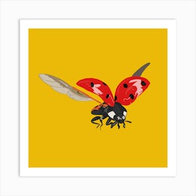 Ladybird Art Print