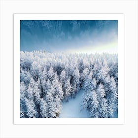 Aerial View Of Snowy Forest 2 Art Print