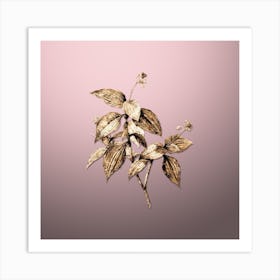 Gold Botanical Tradescantia Erecta on Rose Quartz Art Print