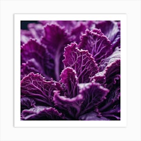 Purple Cabbage Close Up Art Print