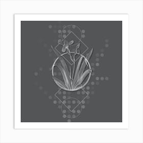 Vintage Hungarian Iris Botanical with Line Motif and Dot Pattern in Ghost Gray n.0305 Art Print