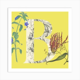 Botanical B Art Print