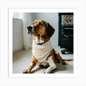 A Photo Of A Dog With A Bandage On Its Leg 5 Art Print