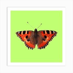 Butterfly On Green Background Art Print