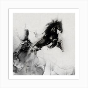 Black Horse Art Print