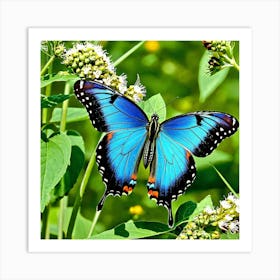 Blue Butterfly 2 Art Print