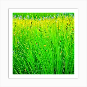 Green Grass In A Field Art Print