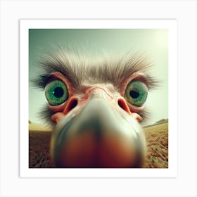 Ostrich Art Print