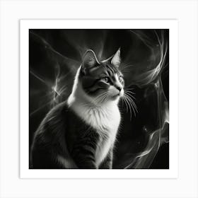 Black And White Cat 2 Art Print