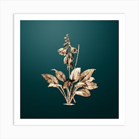 Gold Botanical Daylily on Dark Teal n.2596 Art Print