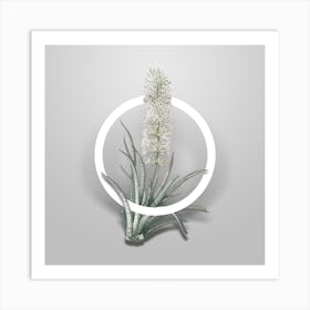 Vintage Snake Plant Minimalist Flower Geometric Circle on Soft Gray Art Print