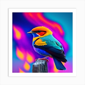 Colorful Bird Art Print