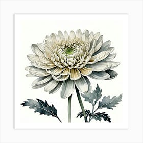 Chrysanthemum 8 Art Print