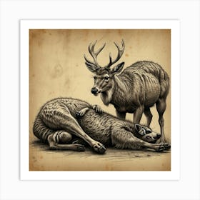 Deer Laying Down Art Print