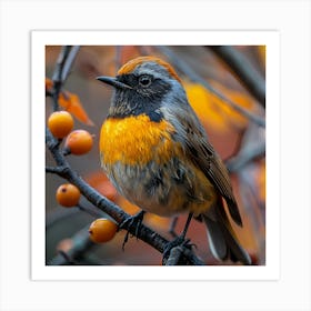 Rufous Titmice Art Print