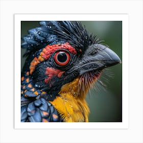 Bird, Bird Of Paradise Art Print