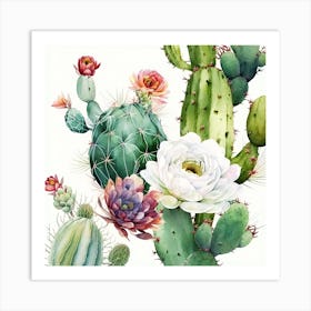 Flowering Cacti A Art Print