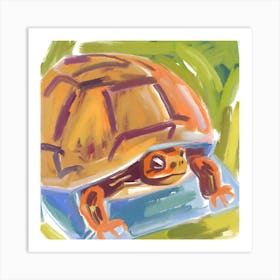 Box Turtle 07 Art Print