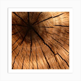 Close Up Of A Tree Trunk Art Print