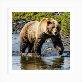 Grizzly Bear 9 Art Print