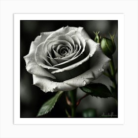 Leonardo Lightning Black And White Rose Art 0 Art Print