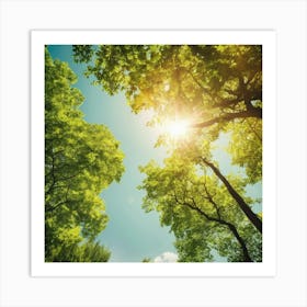 Sun Shining Through Trees Art Print