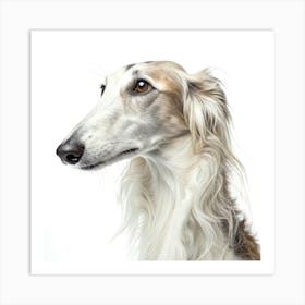 Borzoi Dog Portait Art Print