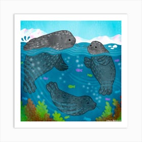 Seals Square Art Print