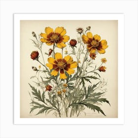 Coreopsis Wildflower Vintage Botanical Art Print Art Print