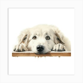 White Shepherd Dog 1 Art Print