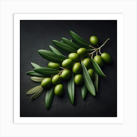 Olive Branch On A Black Background Art Print