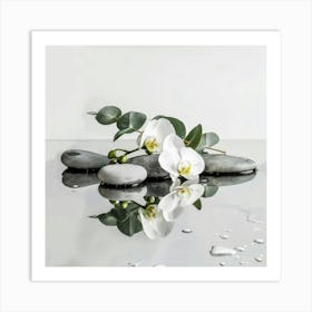 White Orchids 6 Art Print