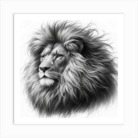 Lion Head drawing in charcoal Art Print