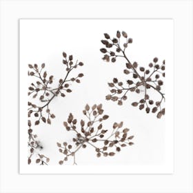 Dried Flowers In Winter White Snow Square Art Print