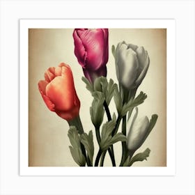 Three Tulips Art Print