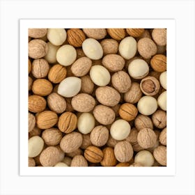 Walnuts 3 Art Print