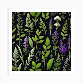 Collection Of Herbs 1 Art Print