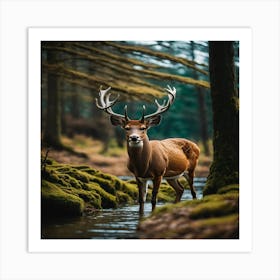 Deer In The Forest Art Print