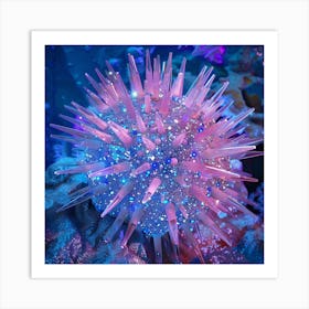 Sea Urchin Pink and Blue Art Print