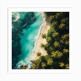 Aerial View Of A Tropical Beach Art Print