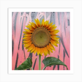 Sunflower off pink Art Print