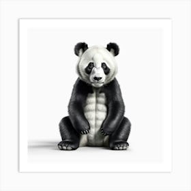 Panda Bear 6 Art Print