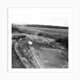 Black And White Dirt Road Rural Photo art photography nature landscape square living room office Art Print