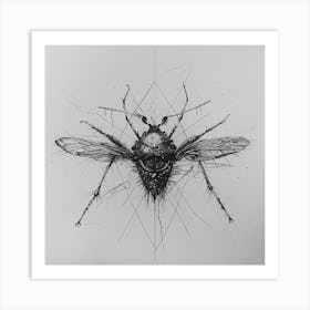 'Fly' Art Print