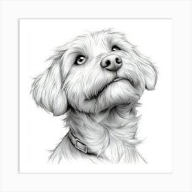 Labradoodle Art Print