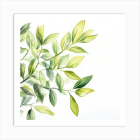 Watercolor Of Green Leaves 2 Art Print