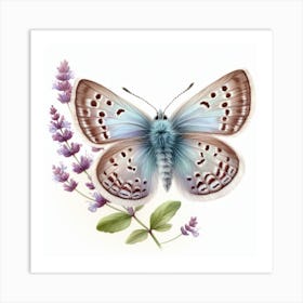 Butterfly of Thymelicus sylvestris Art Print