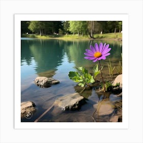 Daisy In The Water Art Print