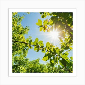 Sun Shining Through Green Leaves Art Print